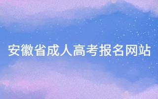 安徽省成人高考报名网站