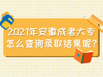安徽成考大专怎么查询录取结果