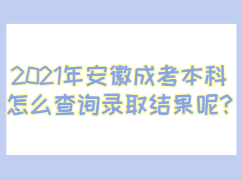 安徽成考本科怎么查询录取结果