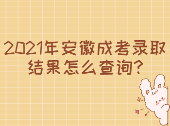 安徽黄山成考录取结果